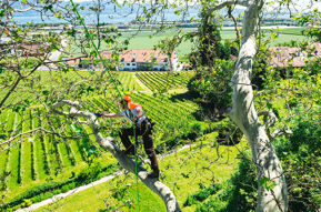 Immagine per la categoria Treeclimbing e DPI