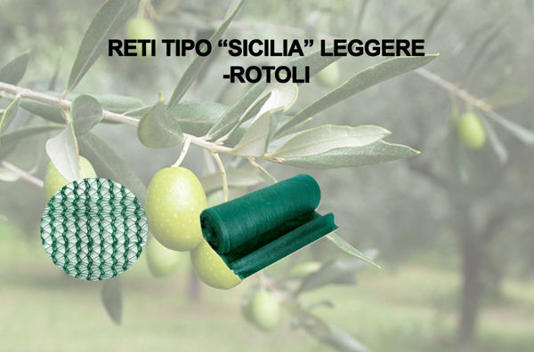 Image de la catégorie Rete Sicilia Leggera