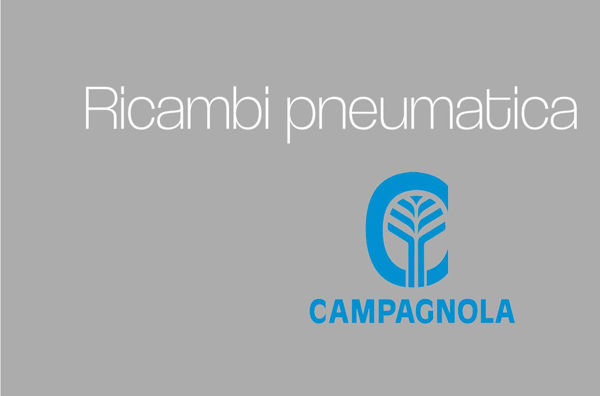 Image de la catégorie Ricambi pneumatica