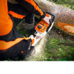 Image de Kit Motosega MSA 300 Stihl