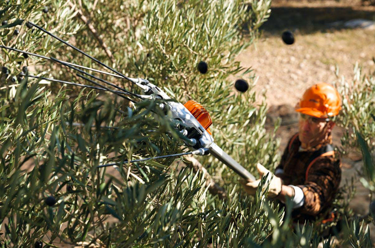 Image de la catégorie Abbacchiatori elettromeccanici stihl