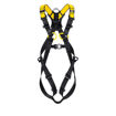 Image de Kit anticaduta Asap Lock Petzl