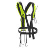 Pettorale TreeRex Bungee Chest - posteriore
