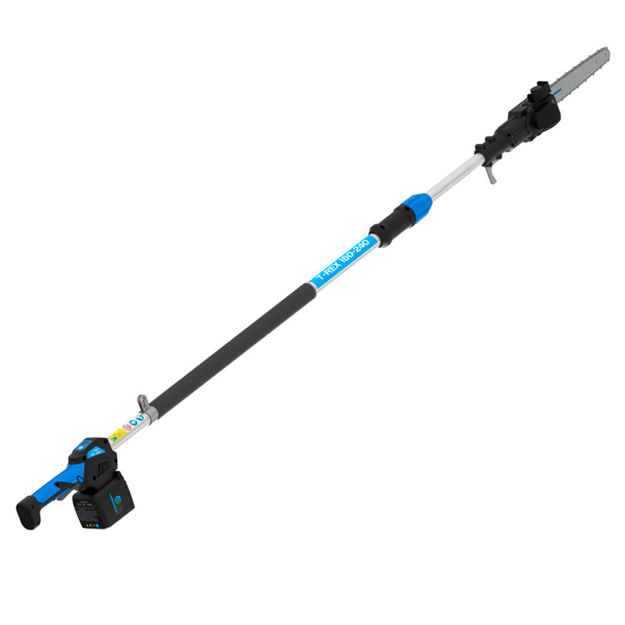 Potatore Elettrico T-REX 160-240 Campagnola