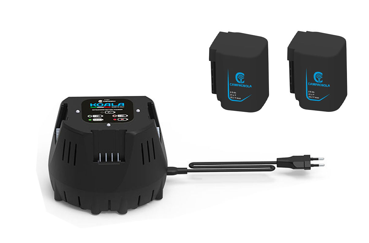 Image de la catégorie Batterie e Caricatori