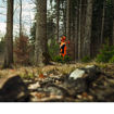 Pantaloni Antitaglio flessibili Stihl