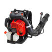 Soffiatore Spalleggiato PB-8010 Echo