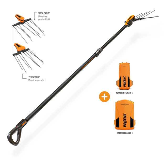 Abbacchiatore Power 48 T220/300 con Batteria Pellenc