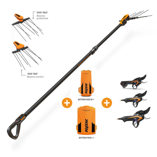Kit Power 48 T220/300 con Batteria + Forbice Pellenc