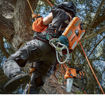 Motosega Selion C21 Evo al lavoro in treeclimbing