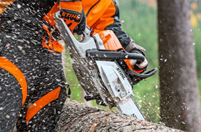 Immagine per la categoria Promo Stihl Autunno 2025