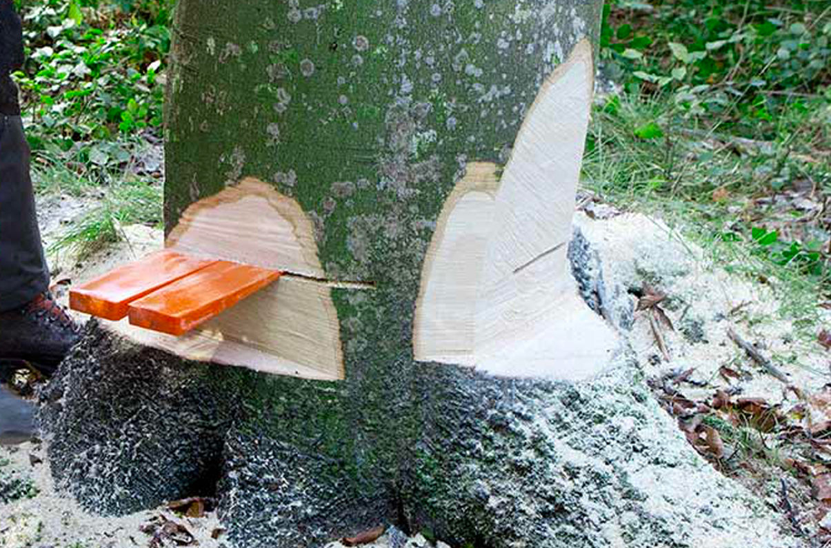 Immagine per la categoria Cunei da abbattimento