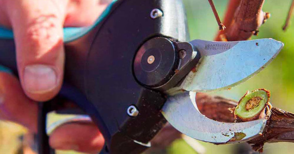 Forbici Elettriche STARK XL e STARK XM Campagnola