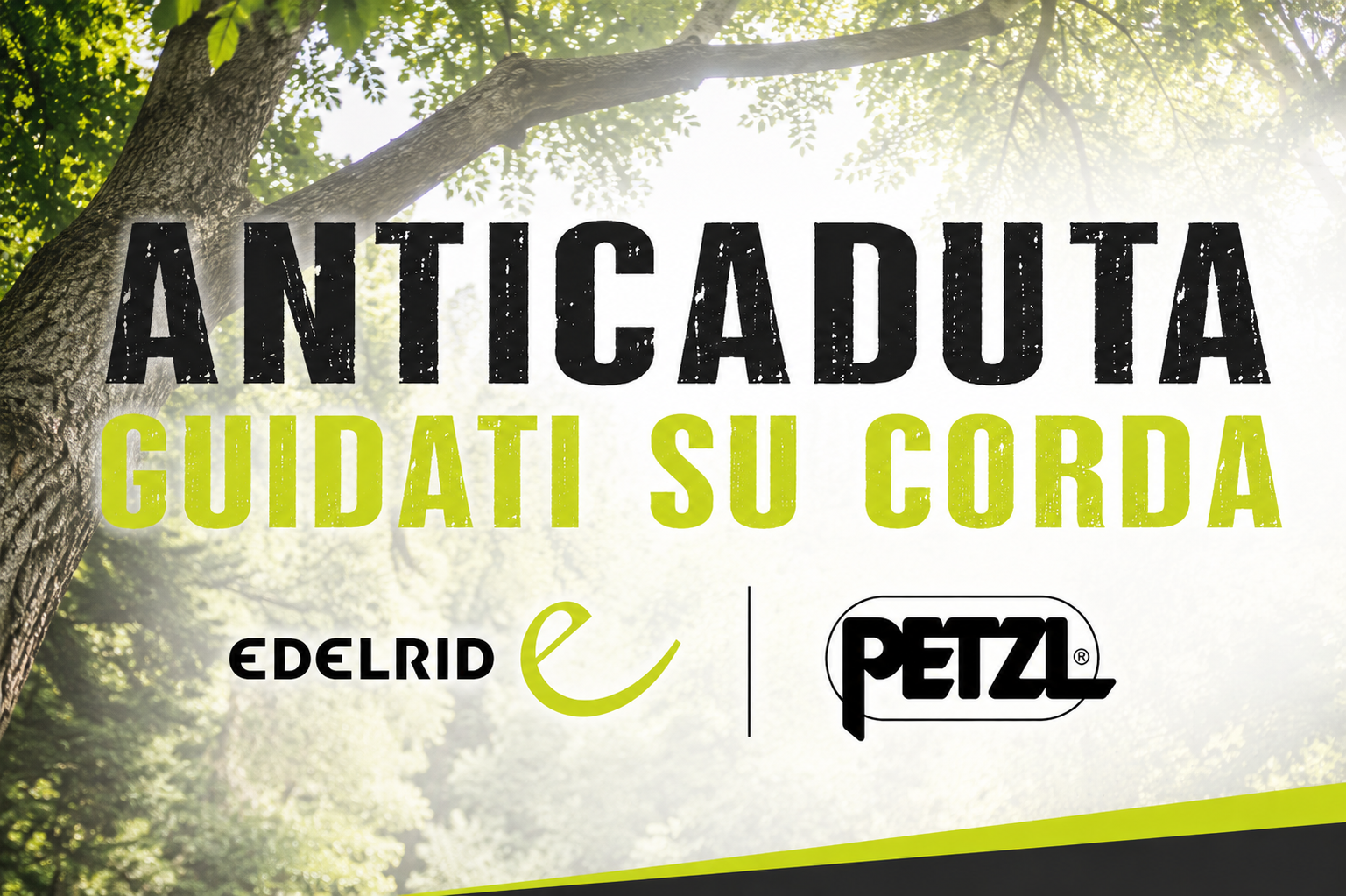 Immagine per la categoria Anticaduta guidati su corda