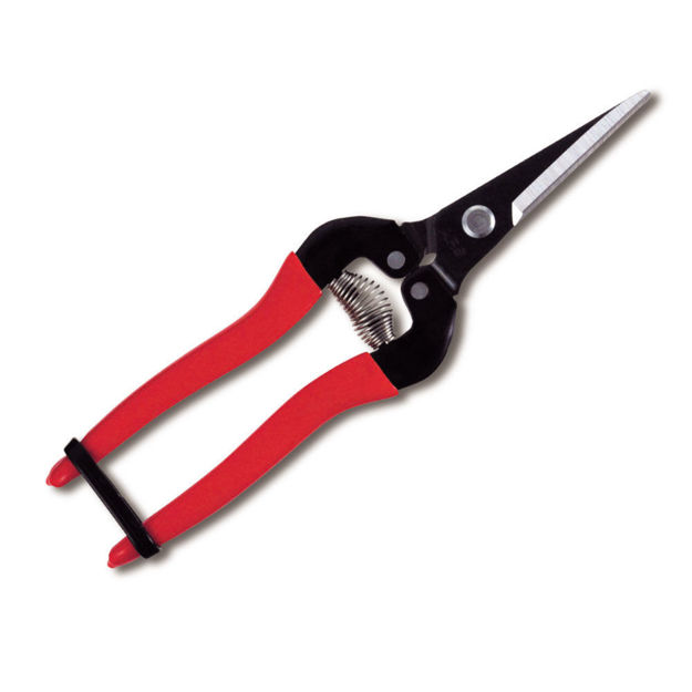 Forbice 300L Ars - professionale per taglio frutta e vegetali