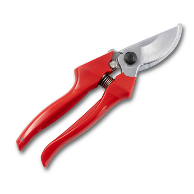 Forbice FB-8 Ars - professionale taglio frutta