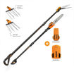 Abbacchiatore Power 48 T220/300 con Batteria + Motosega Selion T220/300 Evo Pellenc 